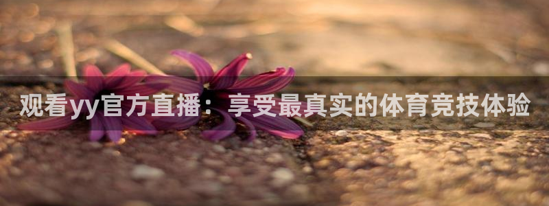 玩球直播app官网