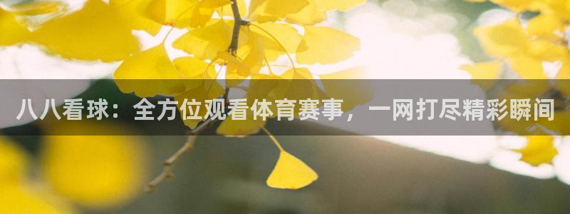 体育新闻