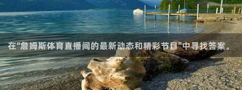 体育新闻