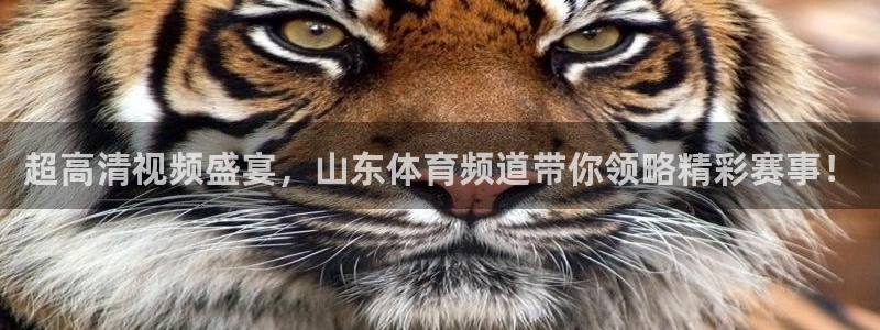 360玩球直播