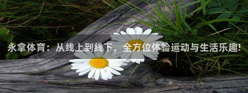 体育新闻