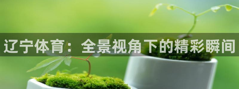 体育新闻