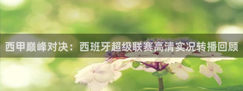 体育新闻