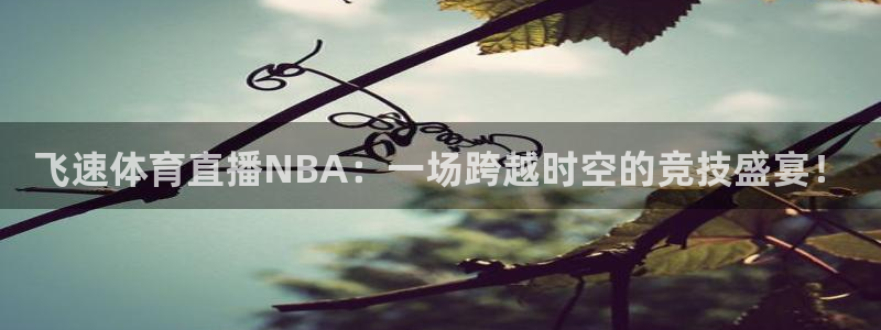 体育新闻