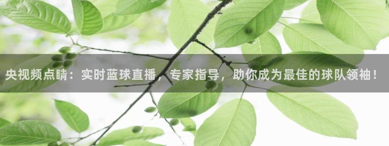 玩球直播jrs直播