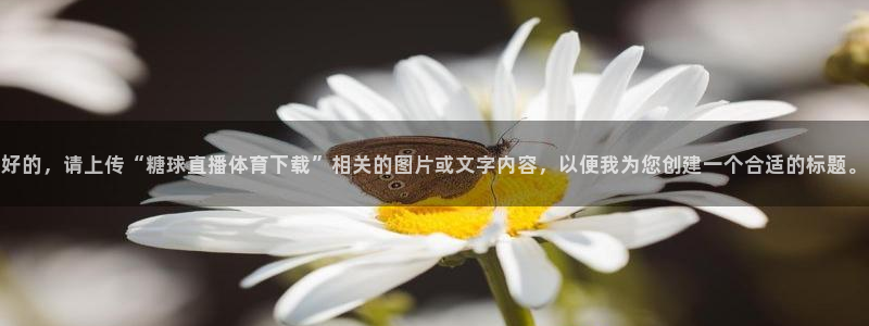 下载玩球直播