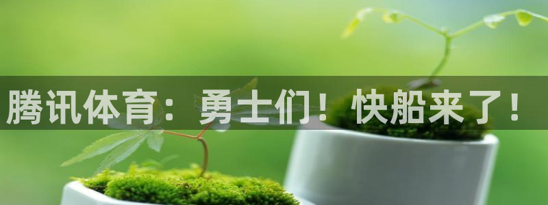 玩球直播nba直播在线直播
